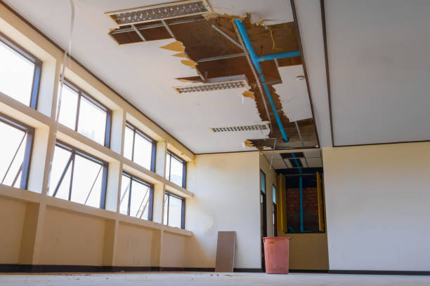 Best 24/7 water damage repair  in Taos, MO