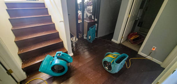 Best Fire Damage Restoration  in Taos, MO