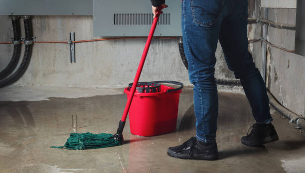 Best Ceiling water damage repair  in Taos, MO