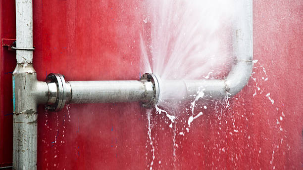 Best Water damage restoration experts  in Taos, MO